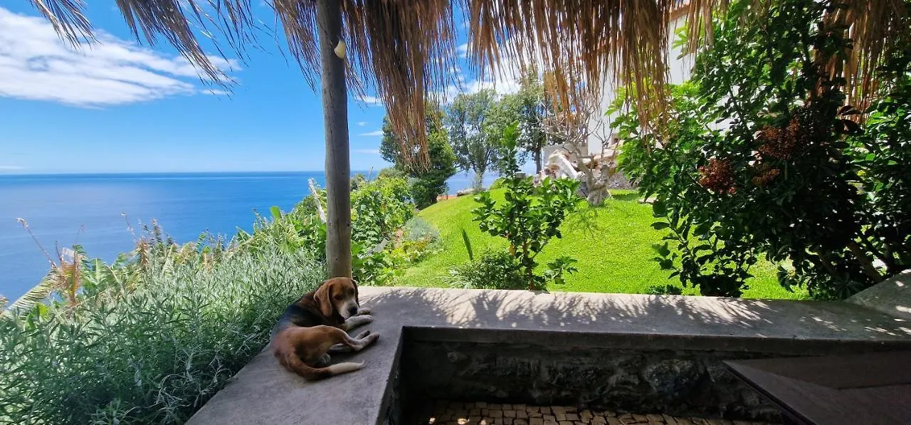Bauernhof Villa Torre Bella Gardens Arco da Calheta