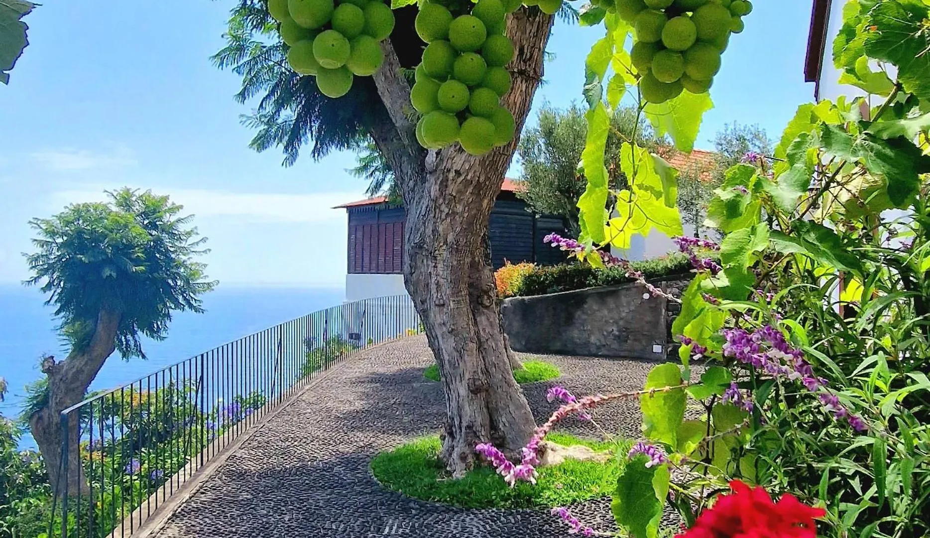 Villa Torre Bella Gardens Arco da Calheta  Portugal